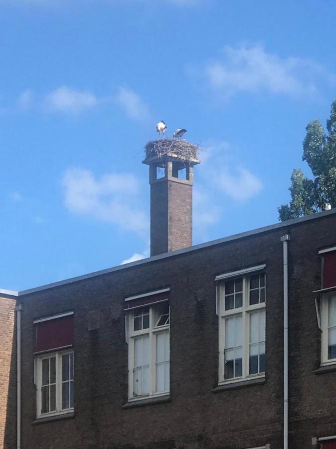 Apartment Six *