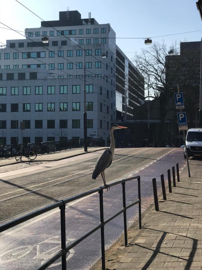 Six * Amsterdam