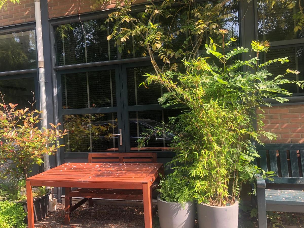 Bed & Breakfast The Quay Amsterdam-noord - Free Parking Amsterdam