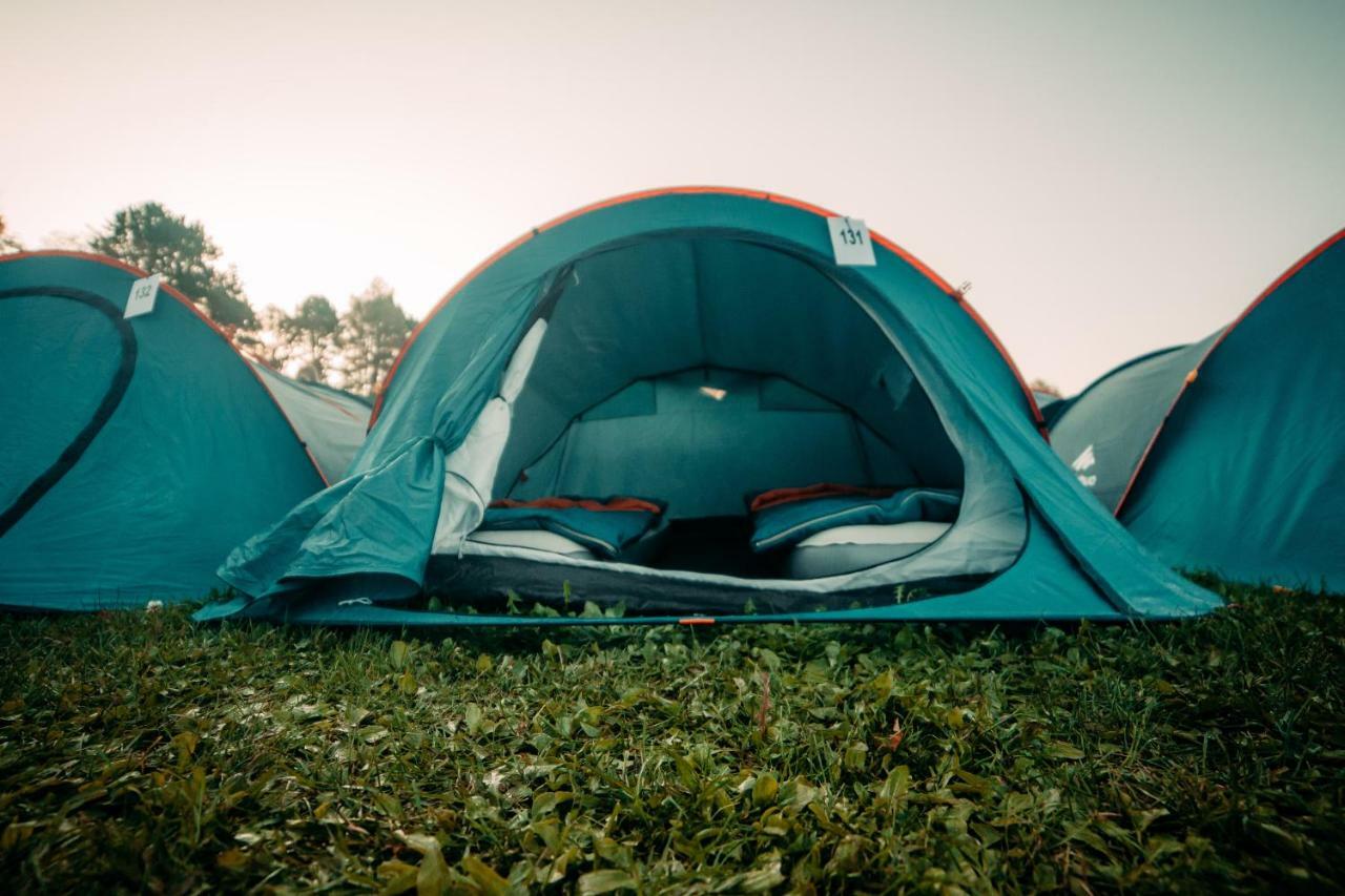 Campingplads The Esn Kingsday