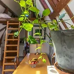 B&B Singel Suites