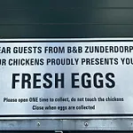 B&B Zunderdorp