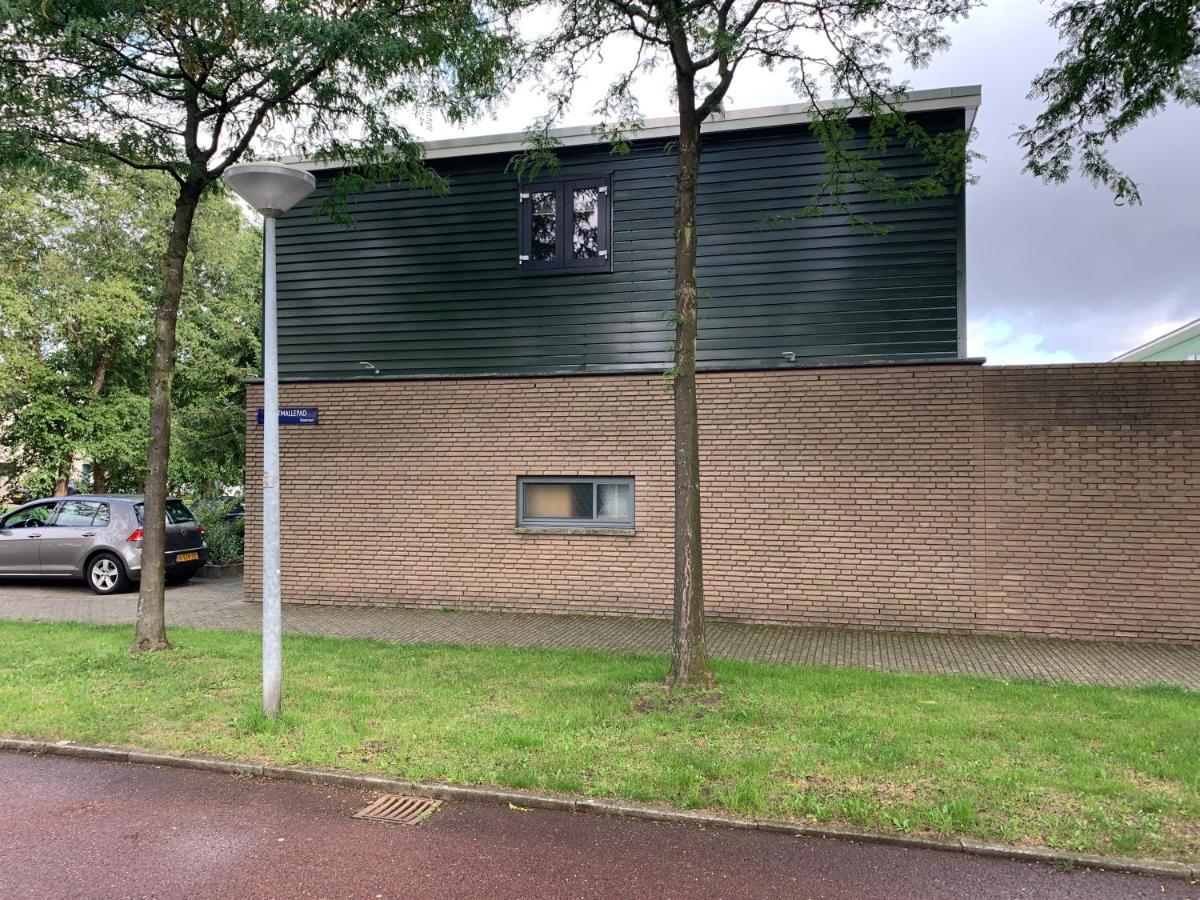 Hababa Short Ámsterdam