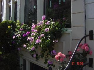 Barrio Guest house 3*