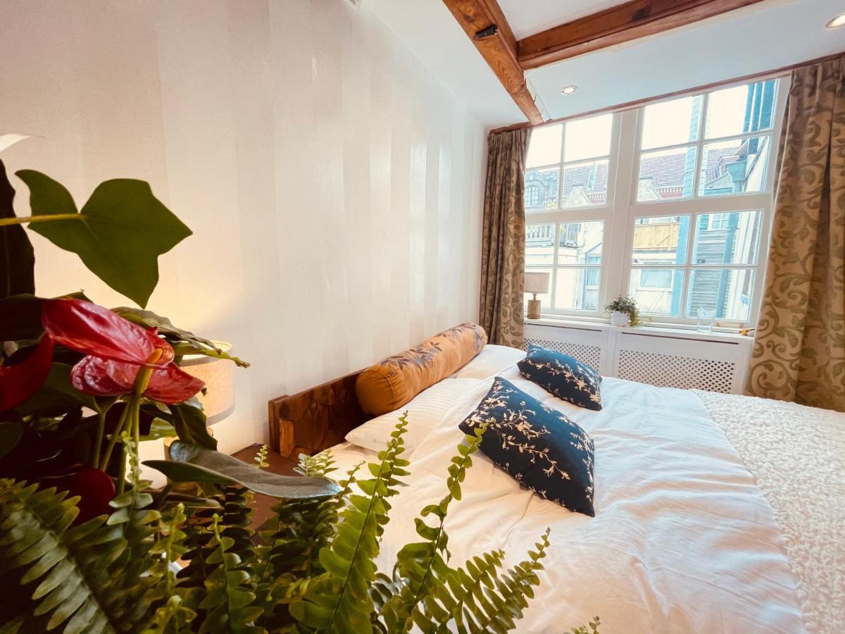 Luxury Suites The Enlightened House Amsterdam
