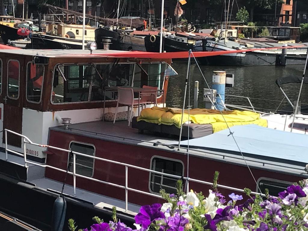 Chalet Spacious Homely House Boat