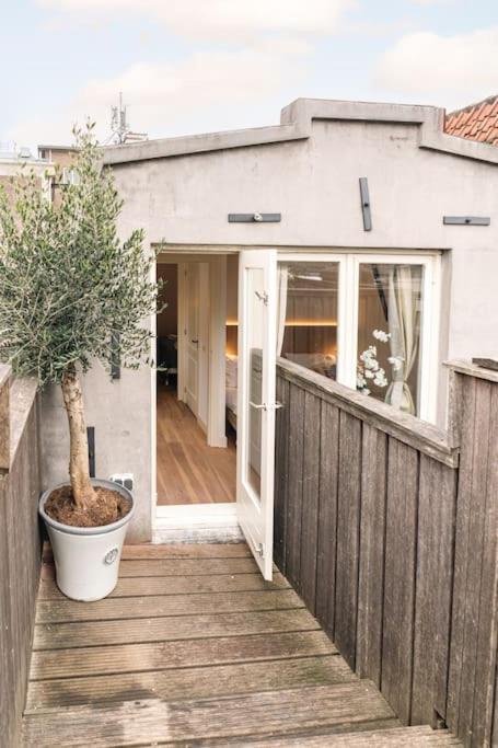 Rooftop Retreat Amsterdam