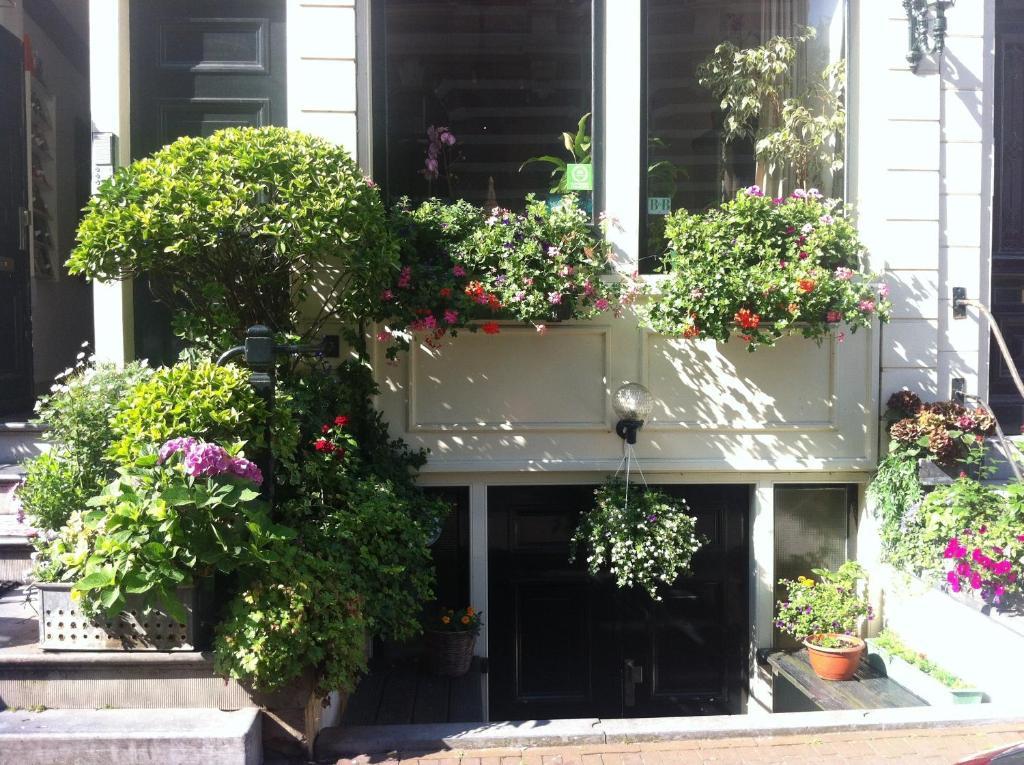 Barrio Guest house Amsterdam