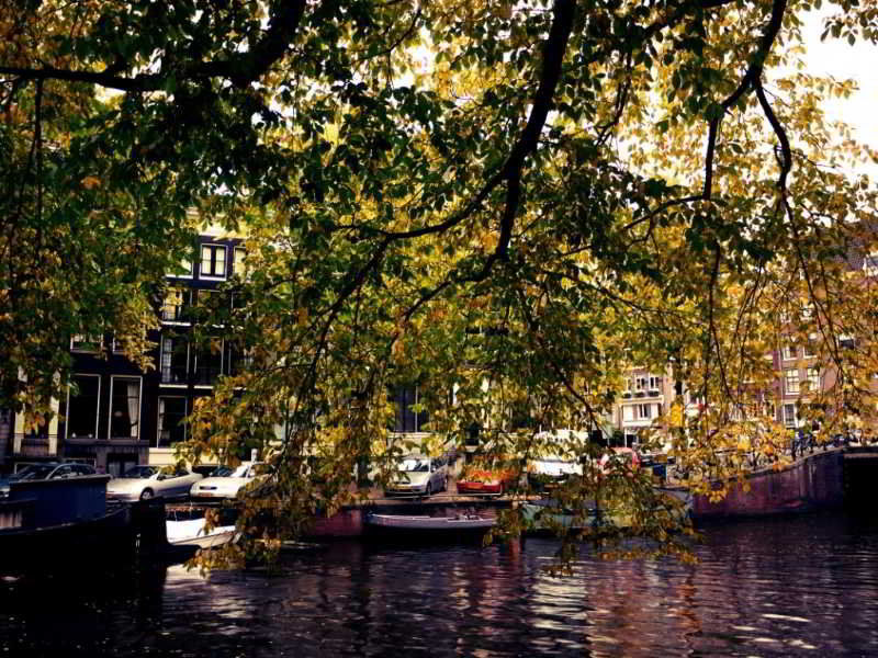 The Bank Ámsterdam
