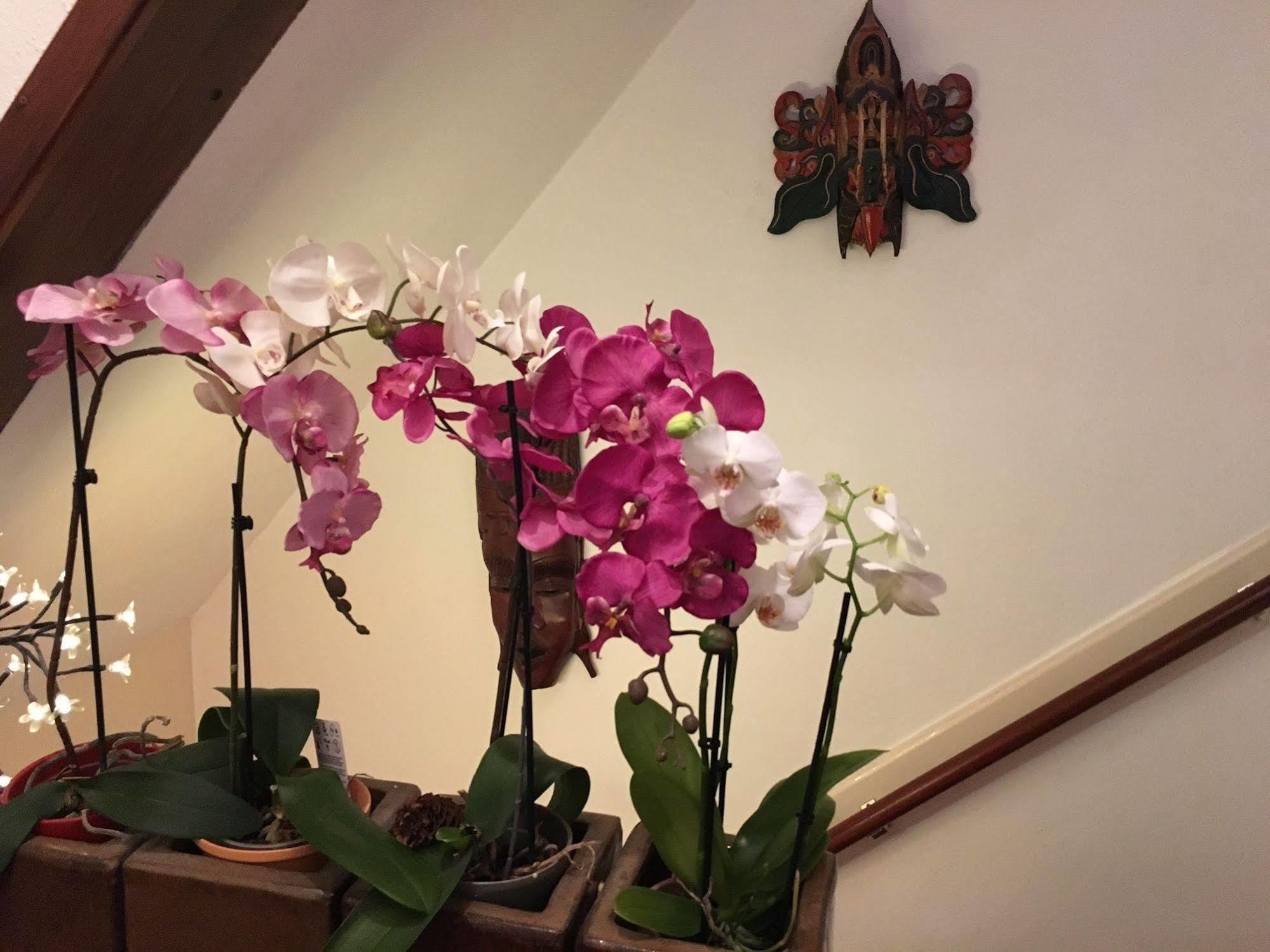 Guest house Barrio 3*