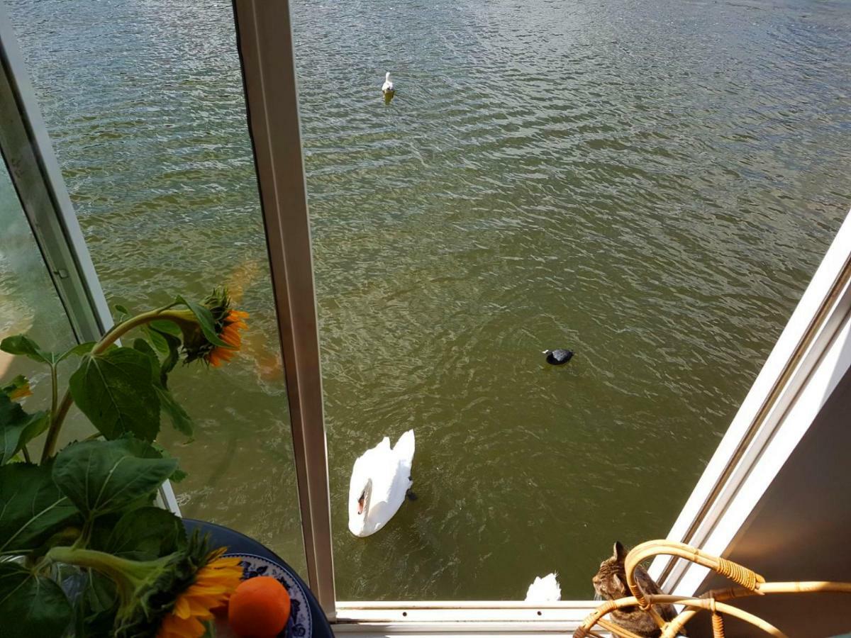 Houseboat Concordia Frühstückspension *