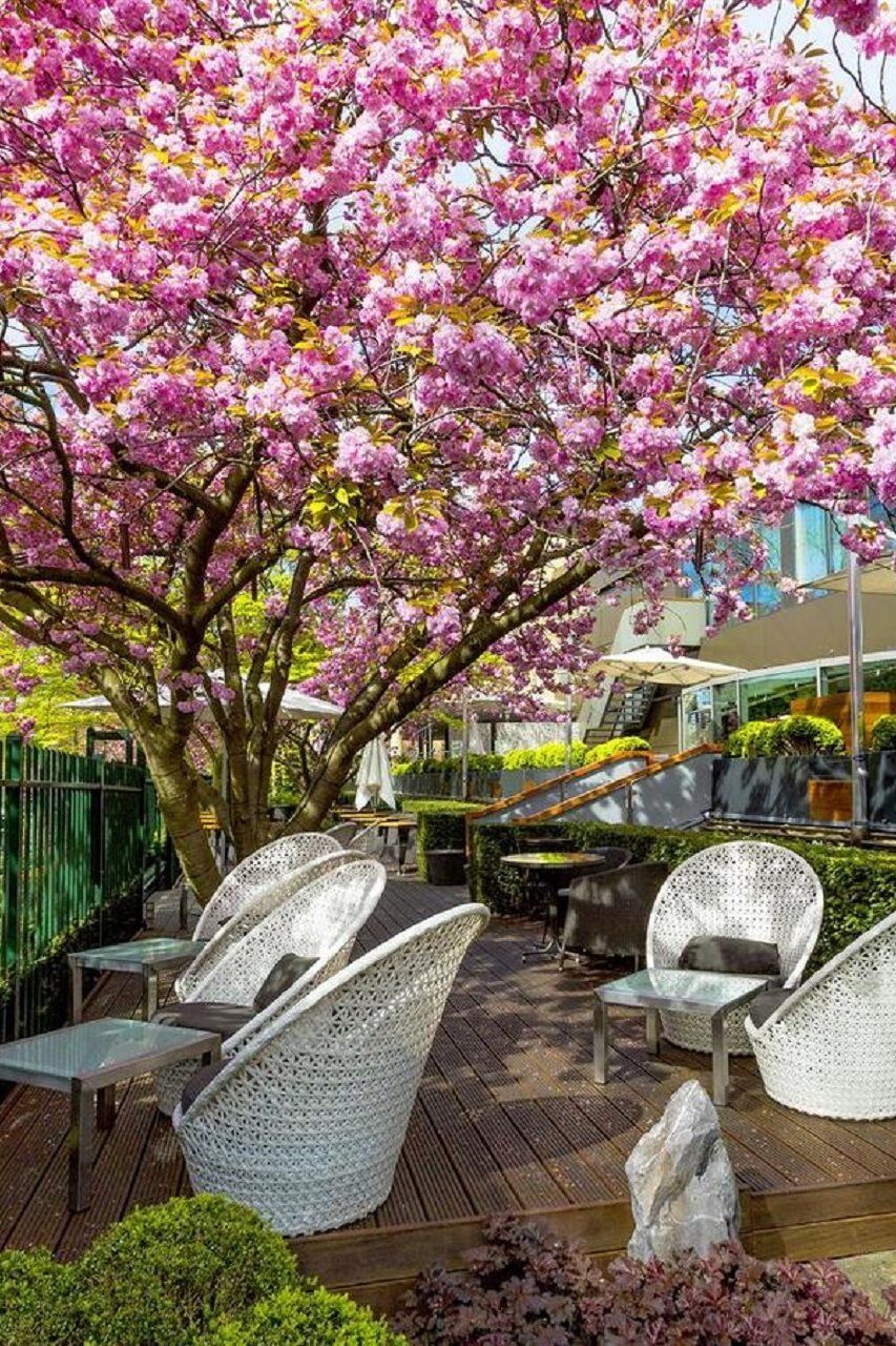 Okura – The Leading Of The World Hotel
