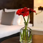 Hotel Amsterdam De Roode Leeuw