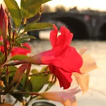 Houseboat Orpheus