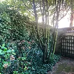 De Leydsche Hof
