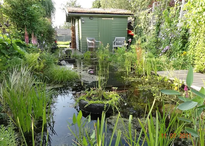 Amsterzonian B&B