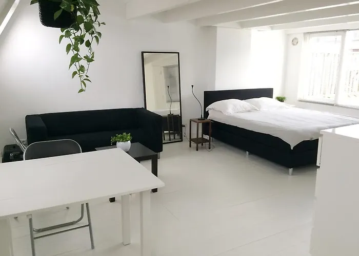 New Bright Studio Apartment