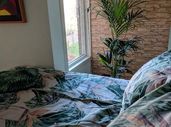 Connect Inn