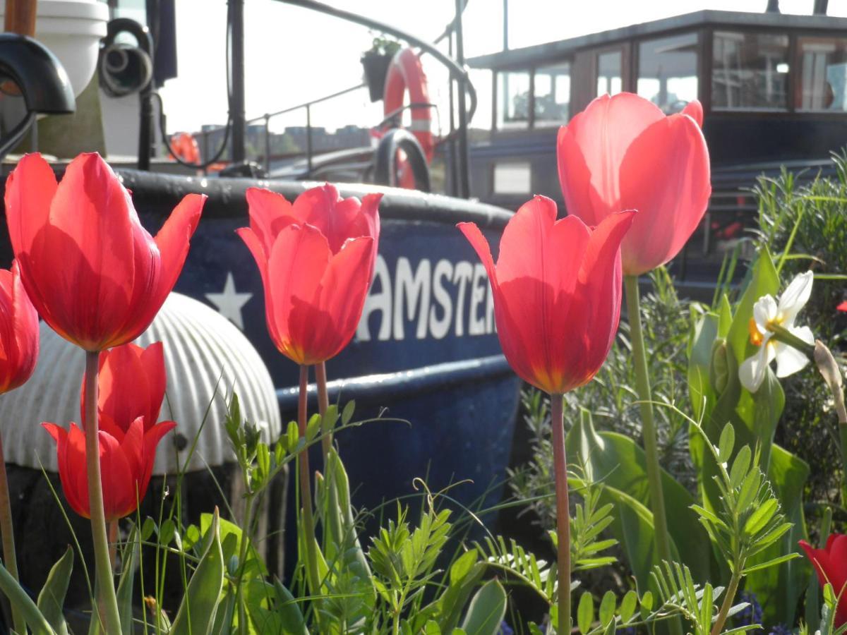 Couette-café Boat & Breakfast Alhena