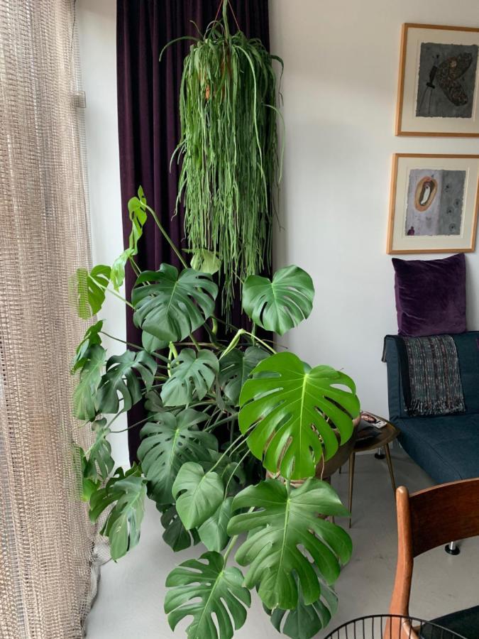 Accommodatie bij particulieren Chez Odette - Free Bikes & Private Car Parking Amsterdam