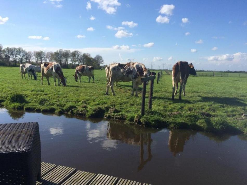 Waterlands Genoegen Frühstückspension