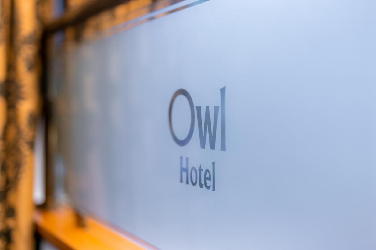 Owl 3*