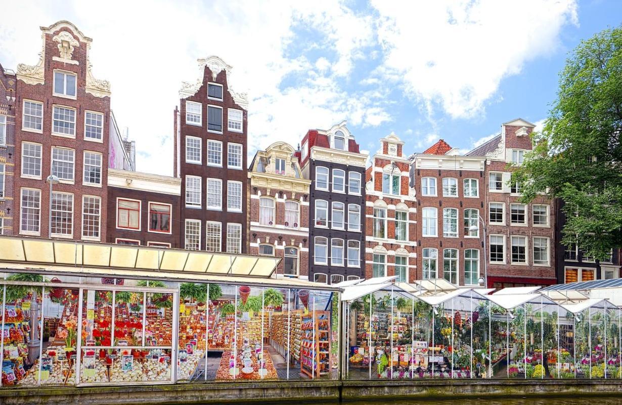 Owl Hotel 3*