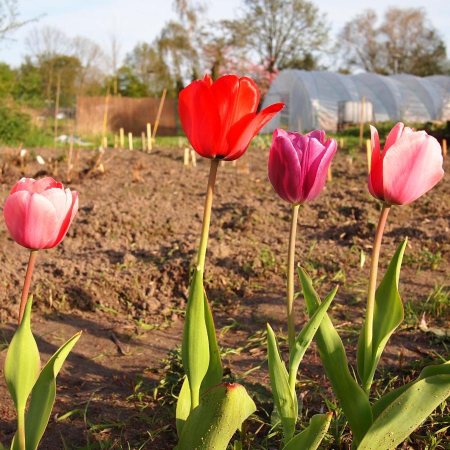 Apartahotel Farm