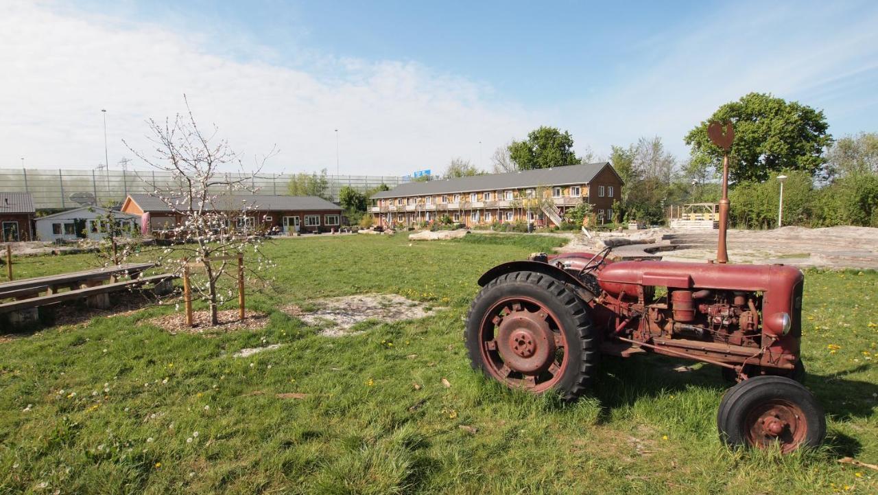 Farm * Ámsterdam