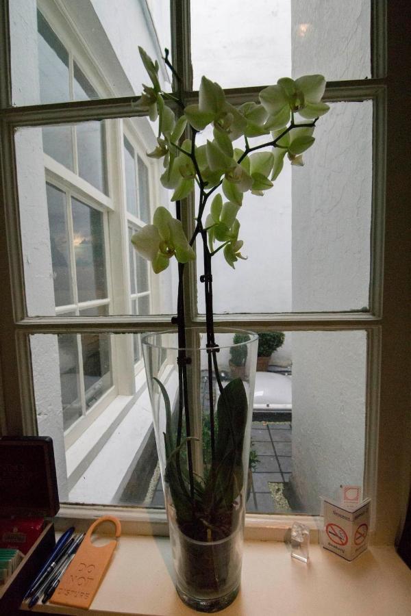 Small cozy&quiet courtyard city centre apartment * Amsterdam