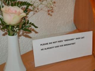 Hestia Hotel 3*