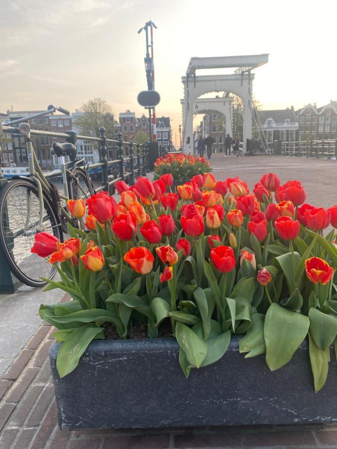 Bed and breakfast Amstel Boutique Ámsterdam