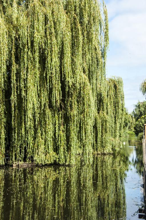 Canal Garden Staywell *