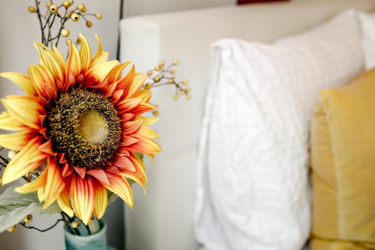 Sunflower Couette-café Amsterdam