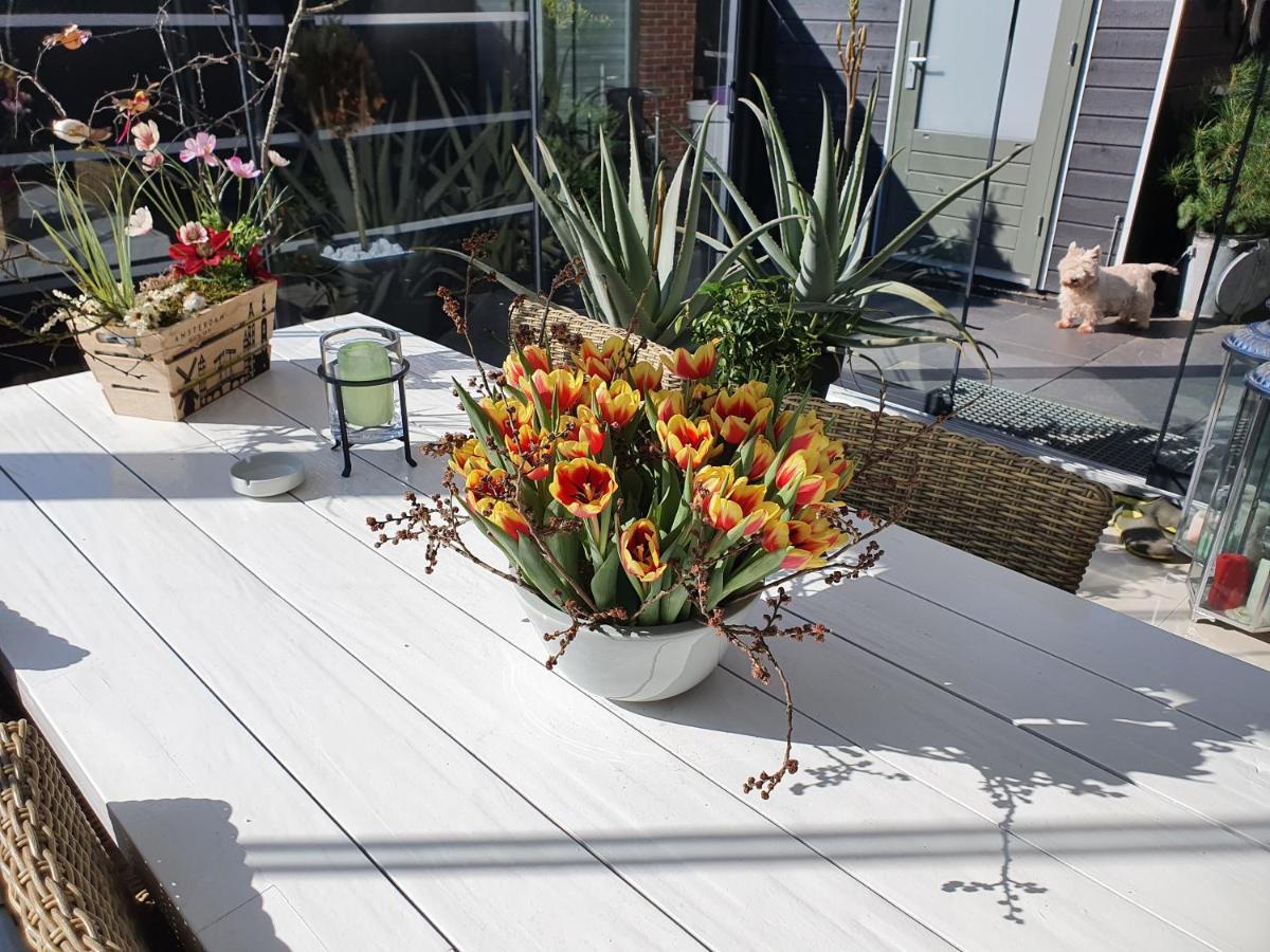 Bed & Breakfast Modern Times Amsterdam