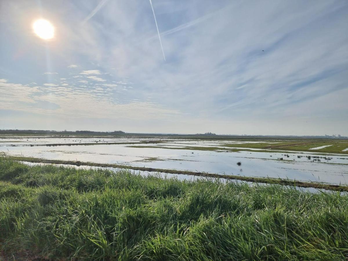 Very In Durgerdam, With Private Garden, Free Parking, Pets Allowed Hébergement de vacances