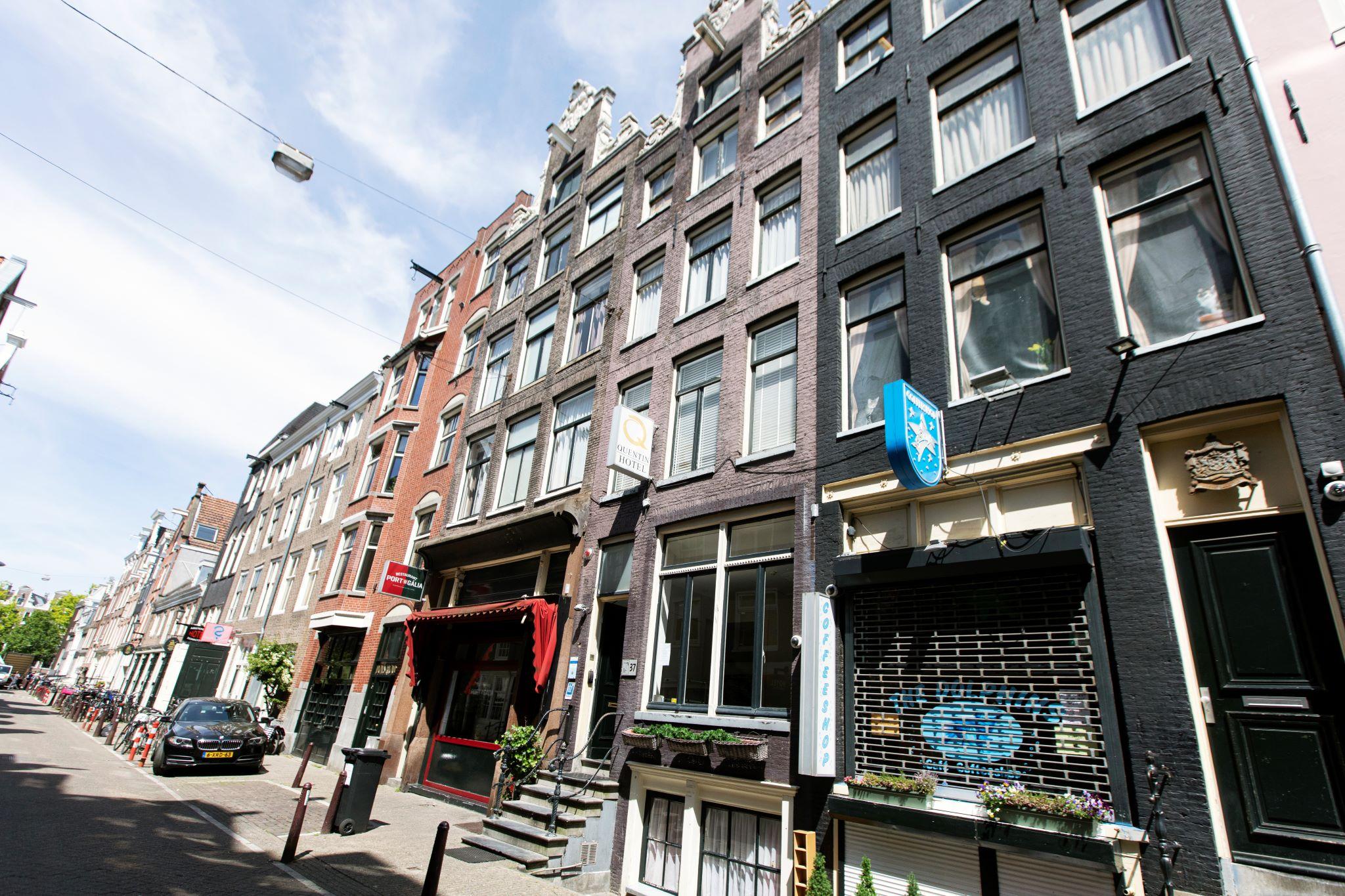 Quentin Golden Bear Amsterdam