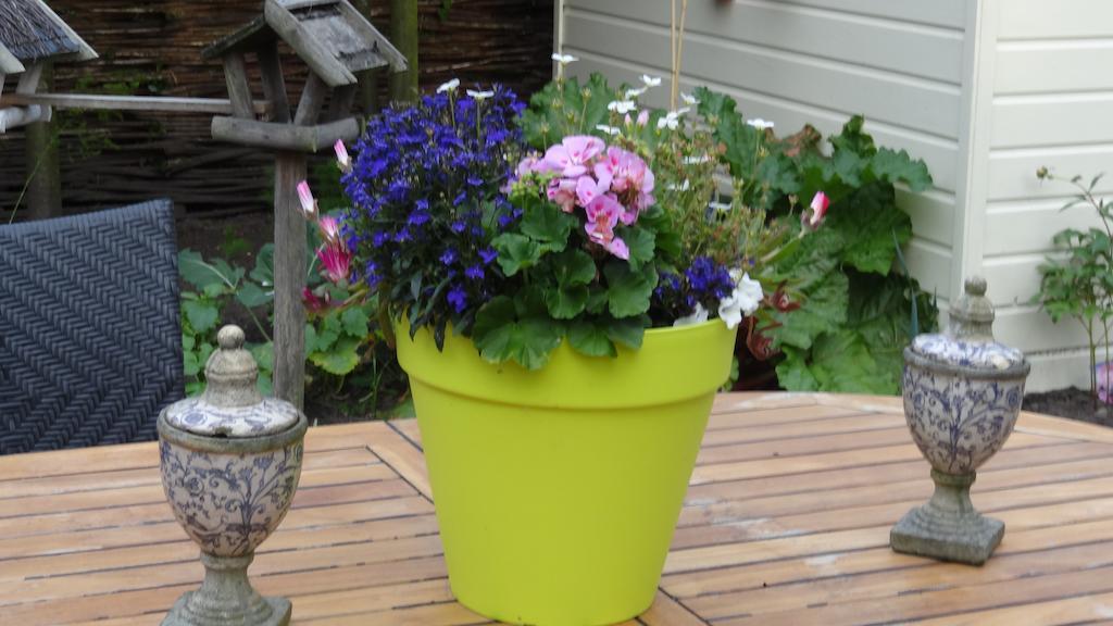 Bed & Breakfast De Noordeling