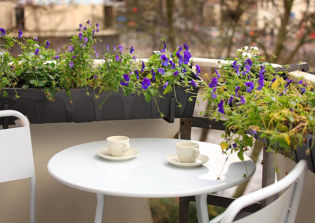 Blue Tulip Bed and breakfast *
