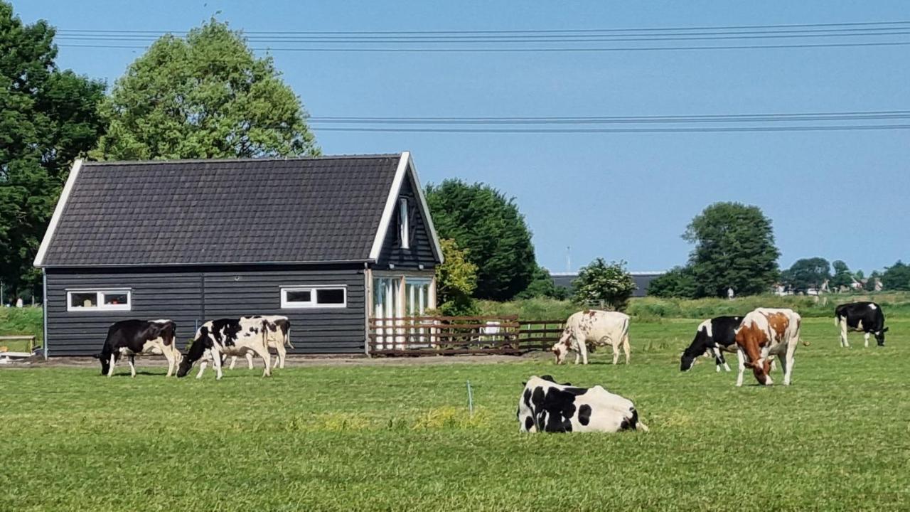 Farmers Lodge, A With A Skyline View In Rural Hébergement de vacances *