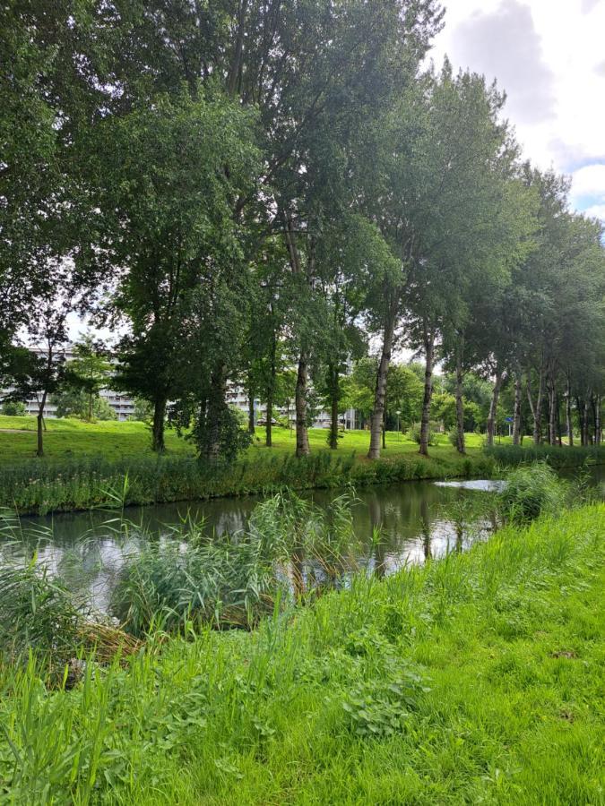 Dubbelink 3a * Amsterdam