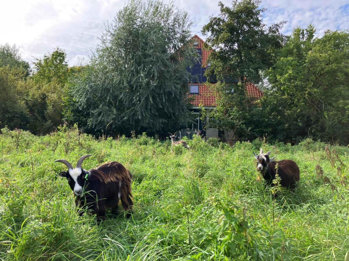 Apartahotel Het Nest *
