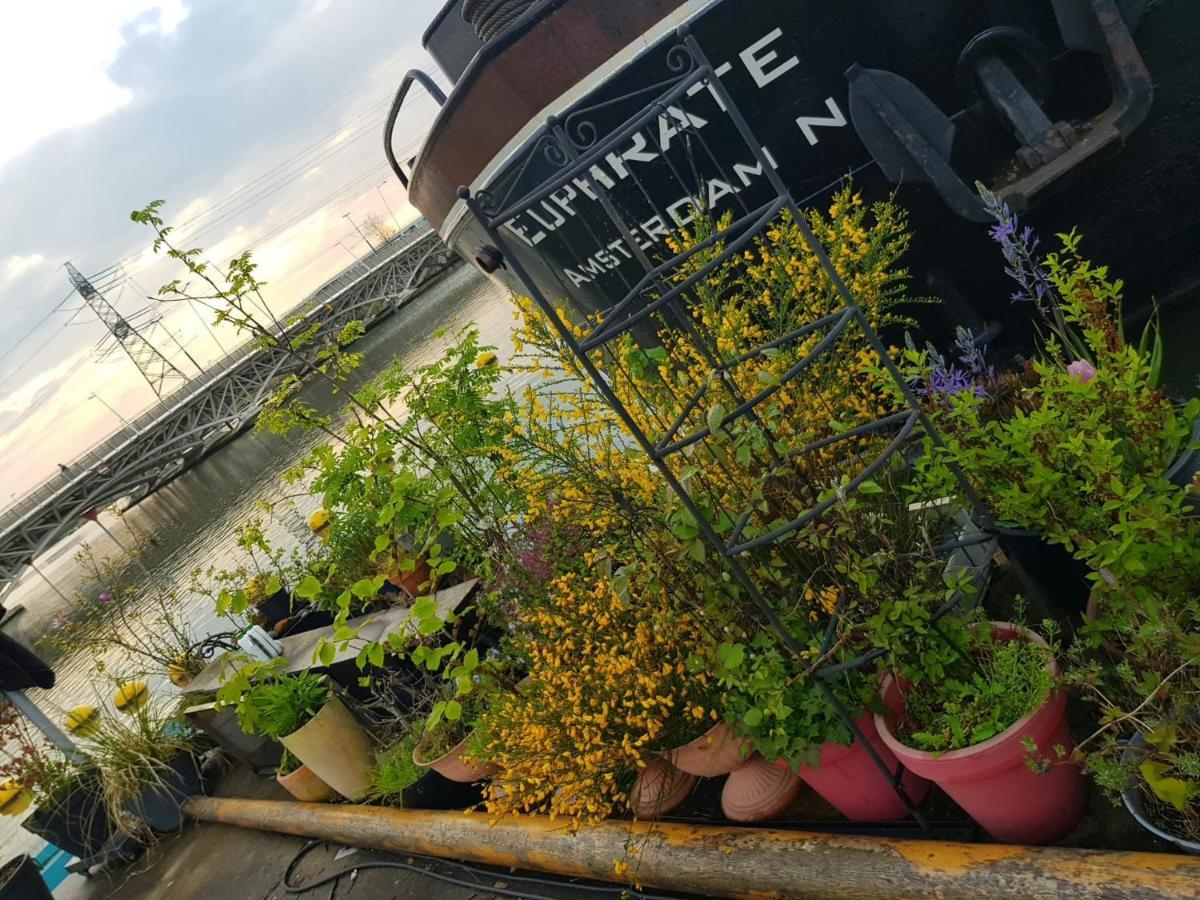 Whole Wheelhouse Euphrate Houseboat Couette-café *