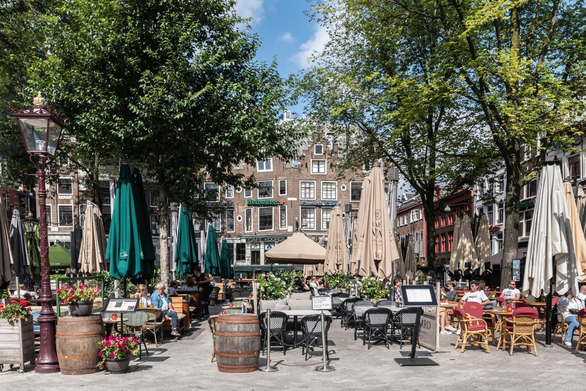 Vondelpark Luxury *