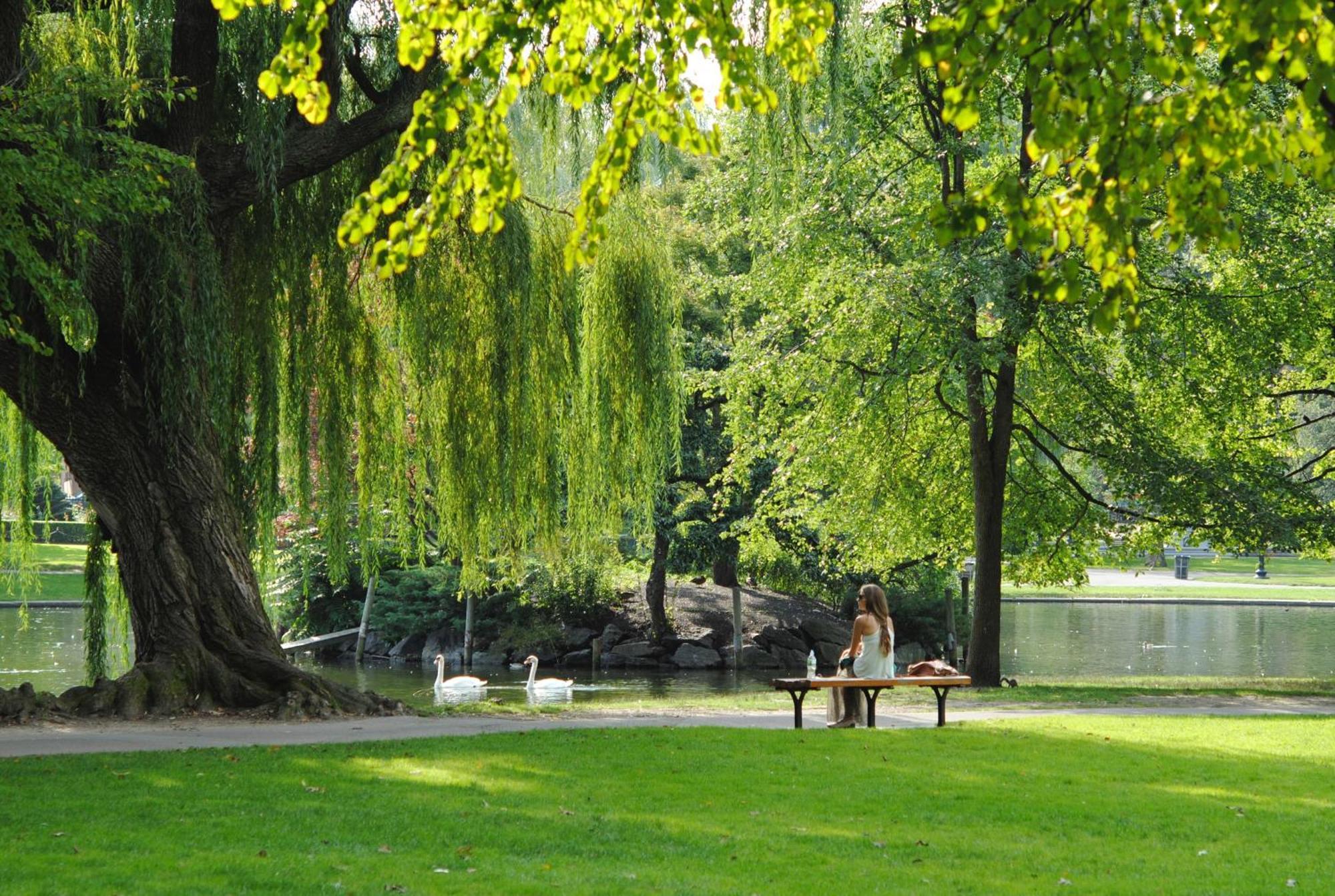 Couette-café Renovated Parkside Gem - 2 Person In The Pijp Amsterdam