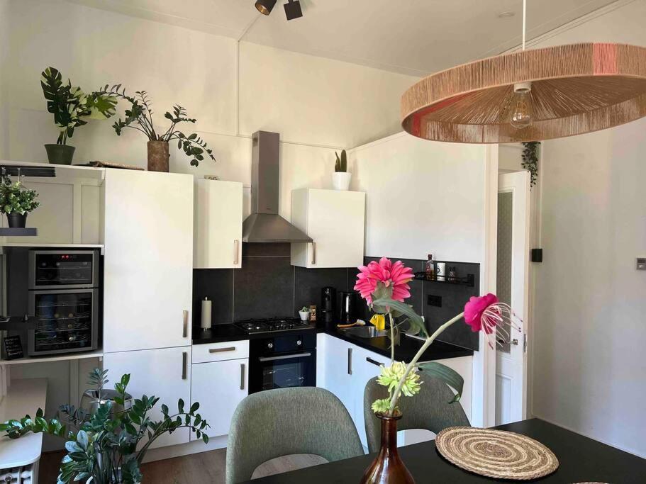 Vondelpark Luxury Appartement Amsterdam