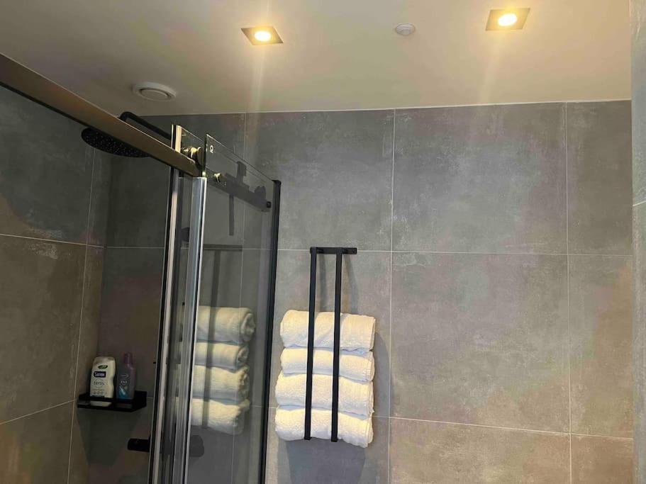 Vondelpark Luxury Appartement Amsterdam