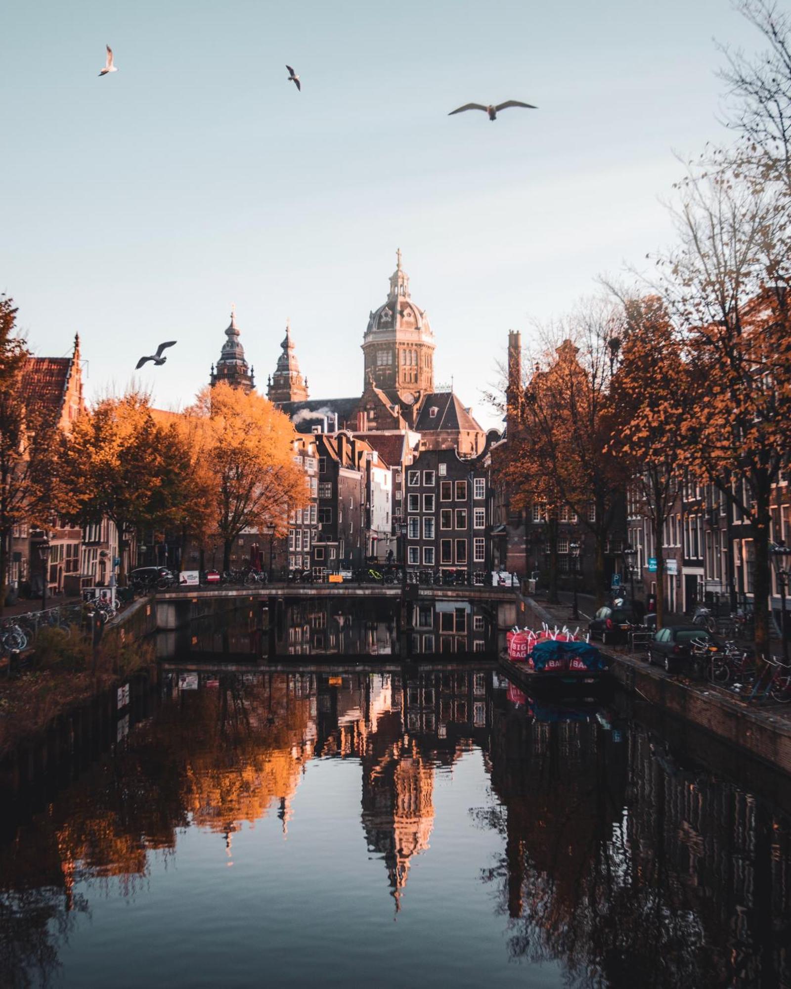 Renovated Parkside Gem - 2 Person In The Pijp Bed and breakfast Ámsterdam