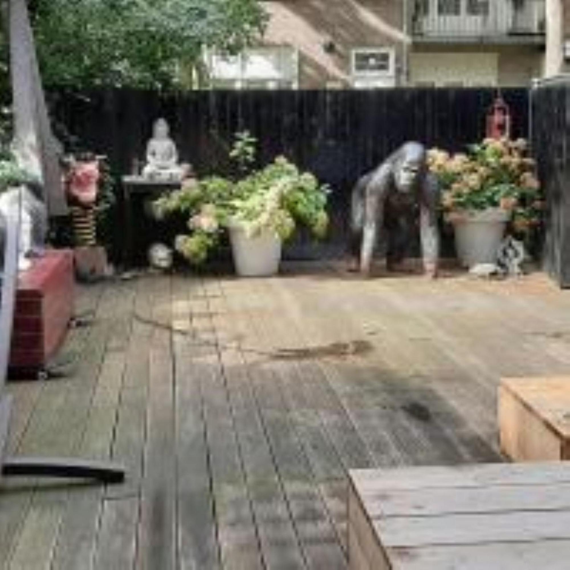 Beautiful With Asian Style Bedroom Near Rai & Center *