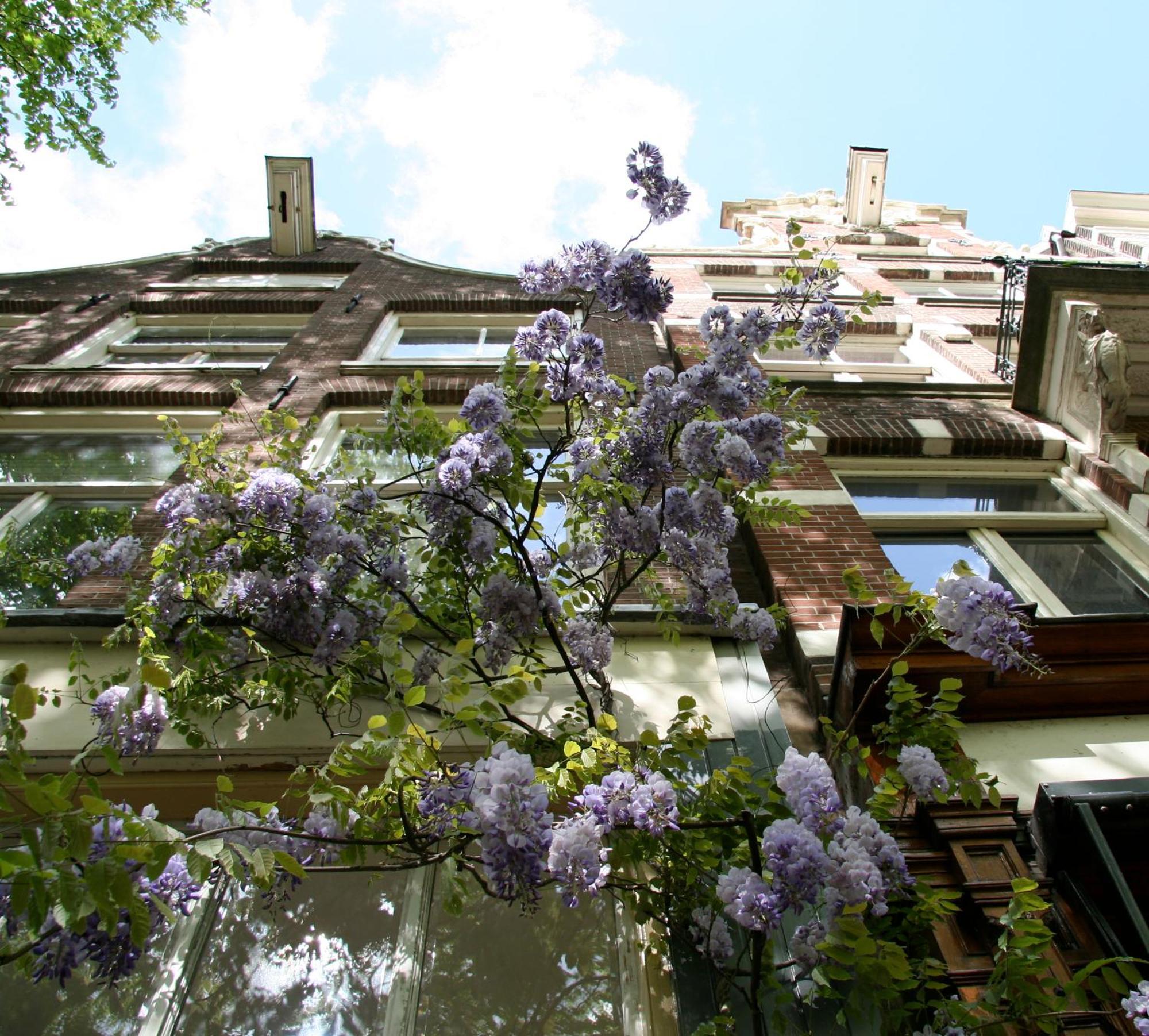 Bed & Breakfast Casa Luna *